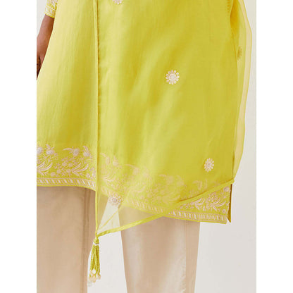 BRIH Lime Green Embroidered Dupatta