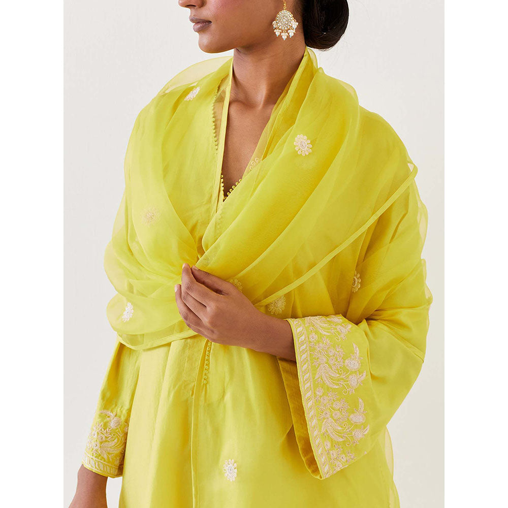 BRIH Lime Green Embroidered Dupatta