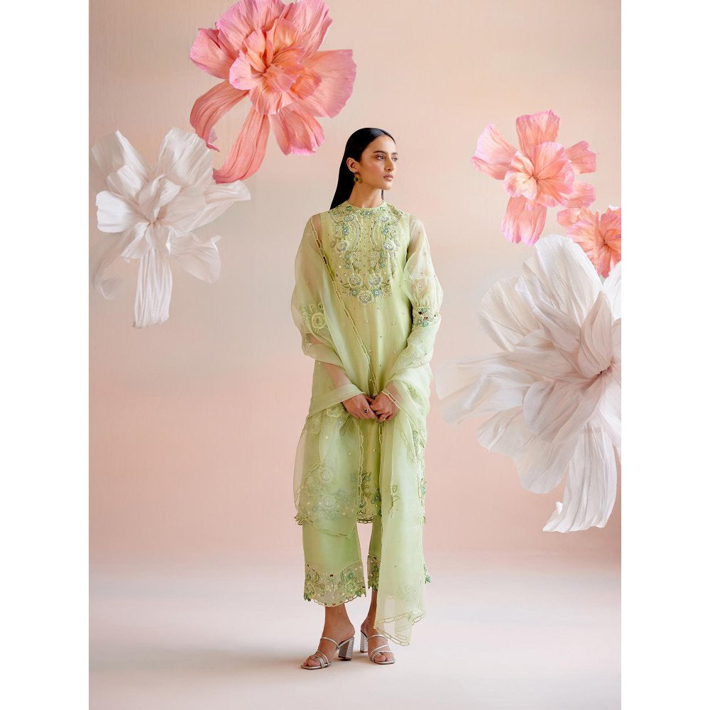 CHANDRIMA Mint Green Tonal Cutwork Dupatta