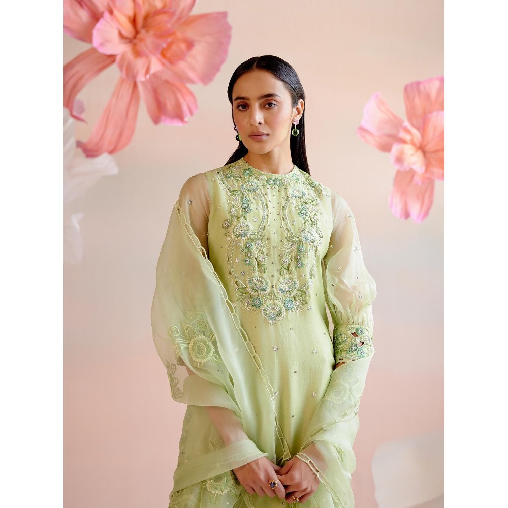 CHANDRIMA Mint Green Tonal Cutwork Dupatta