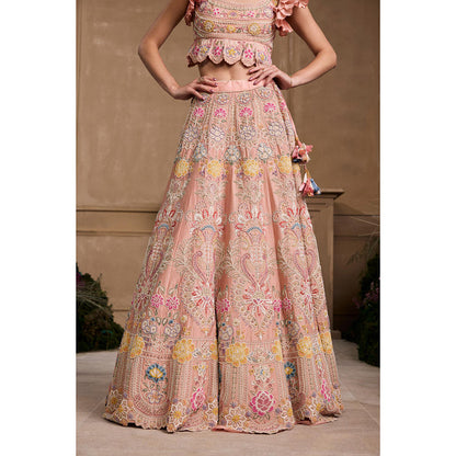 CHANDRIMA Soft Pink Contrast Embroidered Blouse with Lehenga (Set of 2)