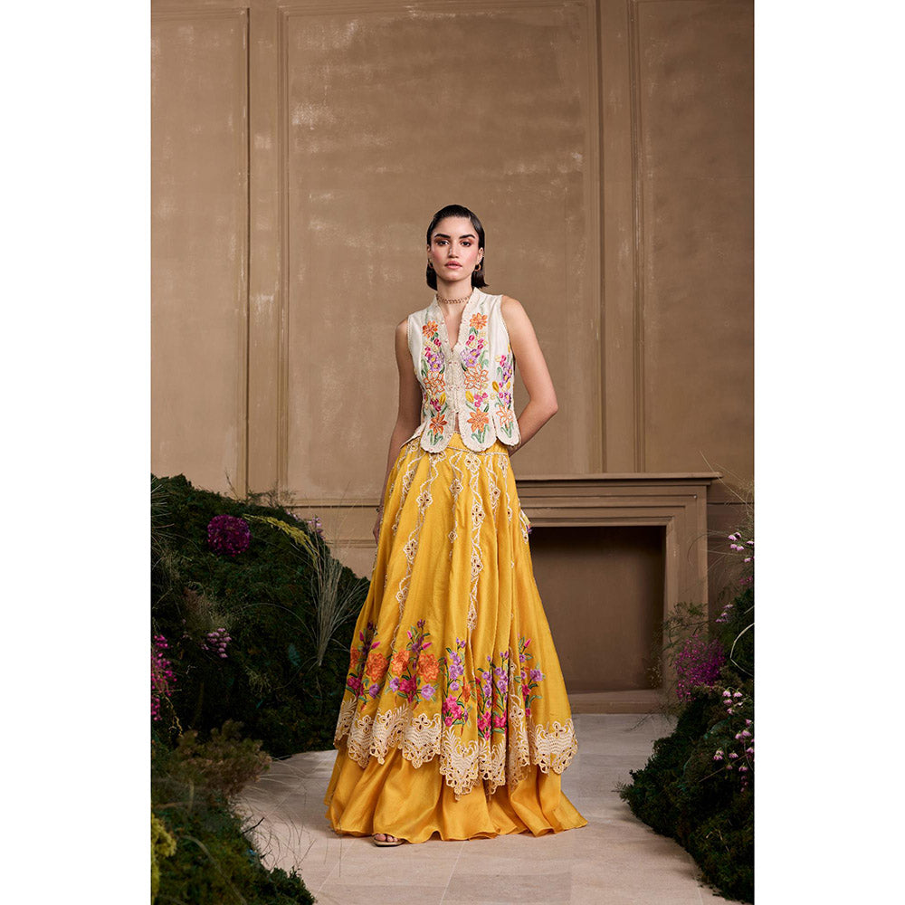 CHANDRIMA Multicolor Floral Embroidered Layered Blouse with Lehenga (Set of 2)