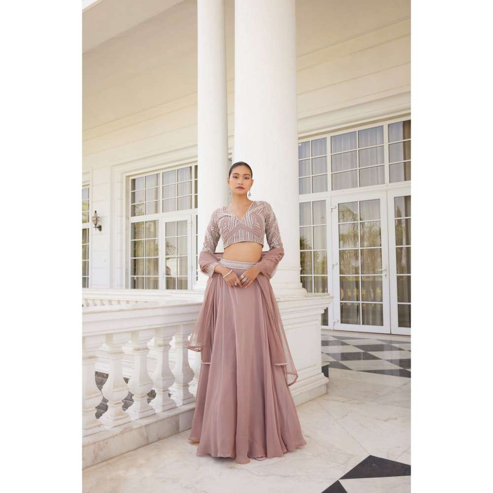 CHARU AND VASUNDHARA Skye Pink Classic Skirt with Blouse & Dupatta (Set of 3)