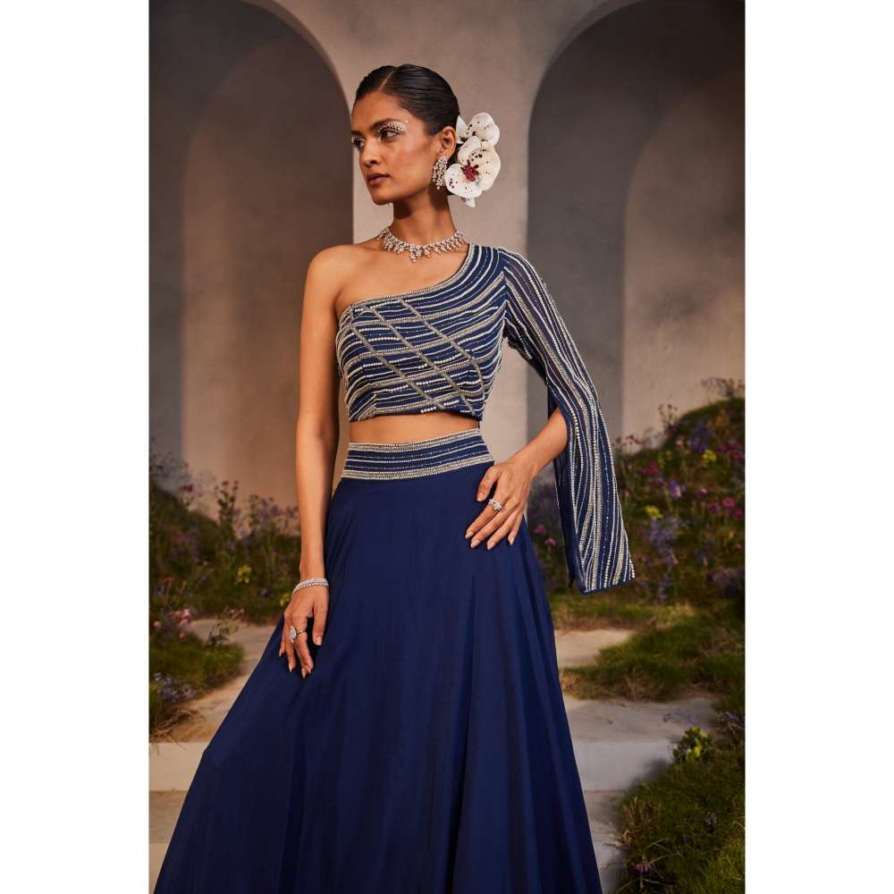 CHARU AND VASUNDHARA Leila Electric Navy Blue Ethnic Skirt & Blouse (Set of 2)