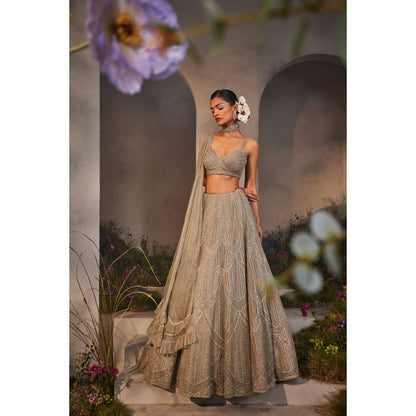 CHARU AND VASUNDHARA Layla Silver Grey Classic Lehenga with Blouse & Dupatta (Set of 3)
