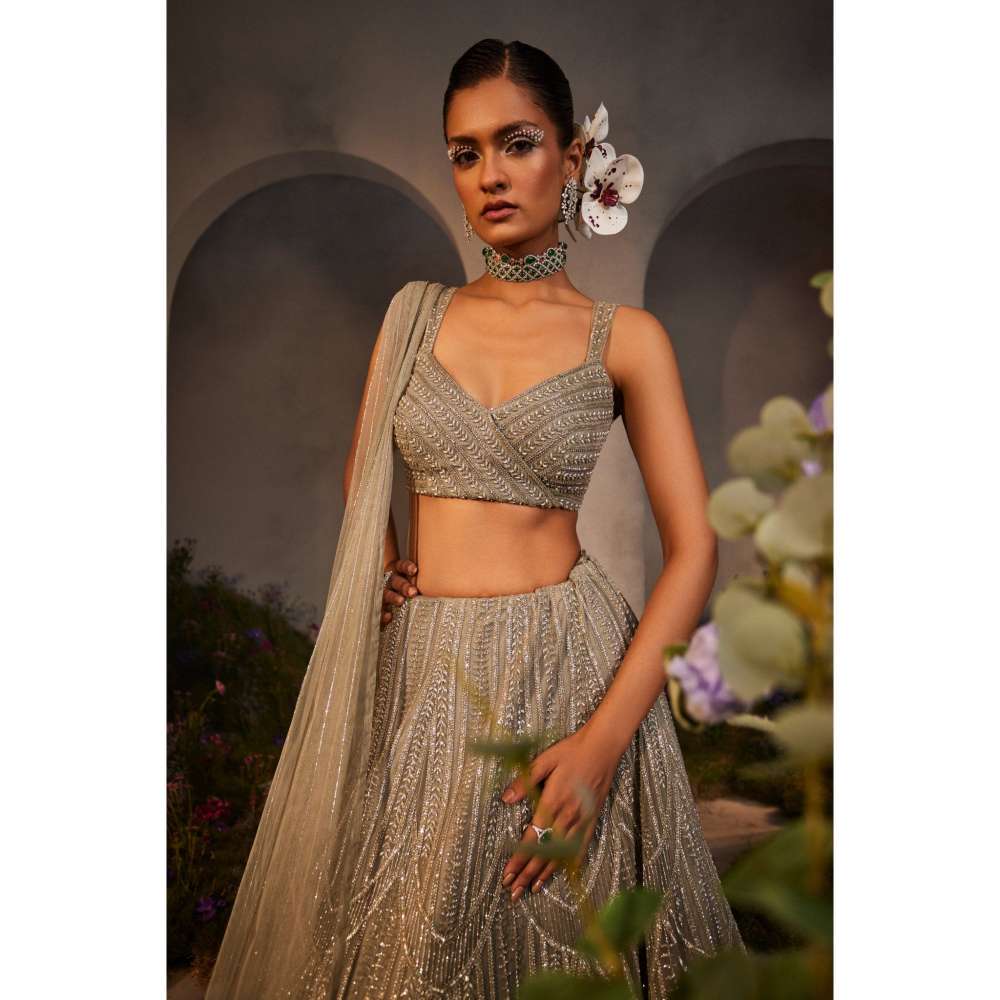 CHARU AND VASUNDHARA Layla Silver Grey Classic Lehenga with Blouse & Dupatta (Set of 3)