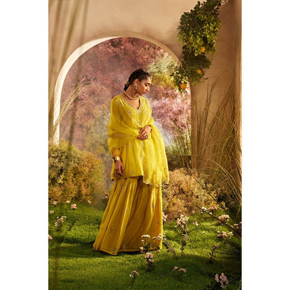 CHARU MAKKAR Mustard Kurti with Sharara & Dupatta (Set of 3)