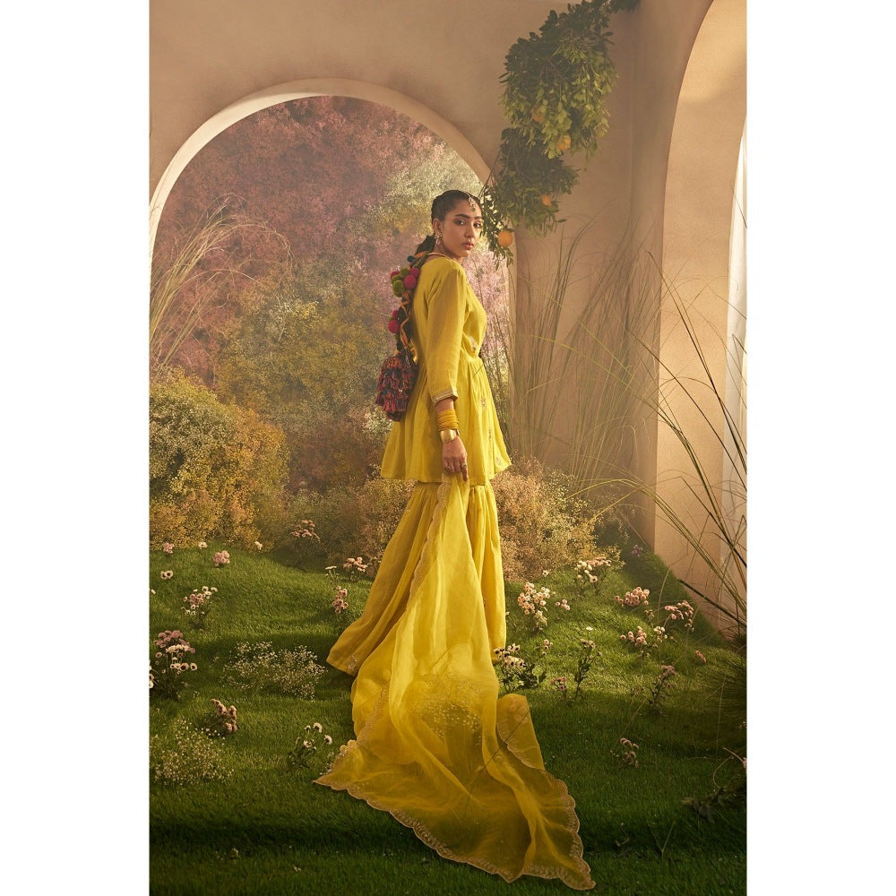 CHARU MAKKAR Mustard Kurti with Sharara & Dupatta (Set of 3)