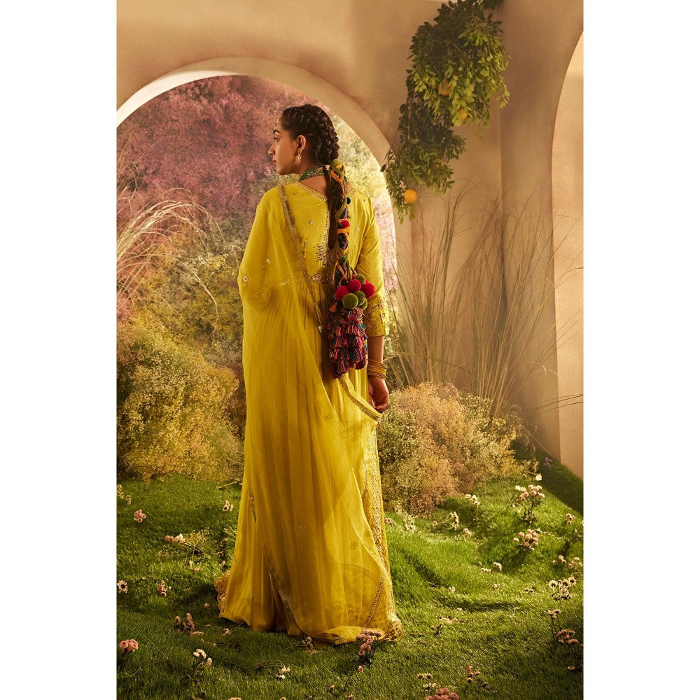 CHARU MAKKAR Mustard Anarkali Kurta & Dupatta (Set of 2)