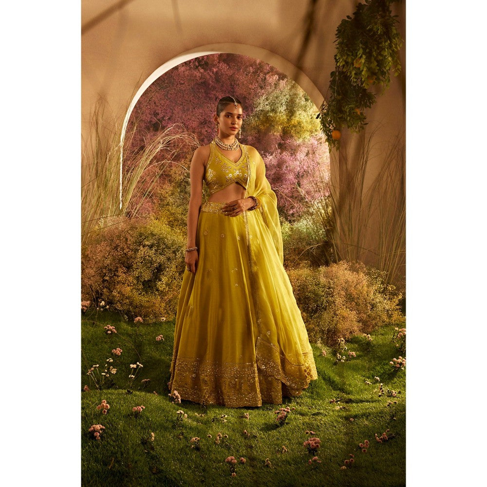 CHARU MAKKAR Mustard Blouse with Lehenga & Dupatta (Set of 3)