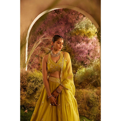 CHARU MAKKAR Mustard Blouse with Lehenga & Dupatta (Set of 3)