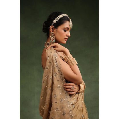 CHARU MAKKAR Beige Nutmeg Embellished Saree with Unstitched Blouse