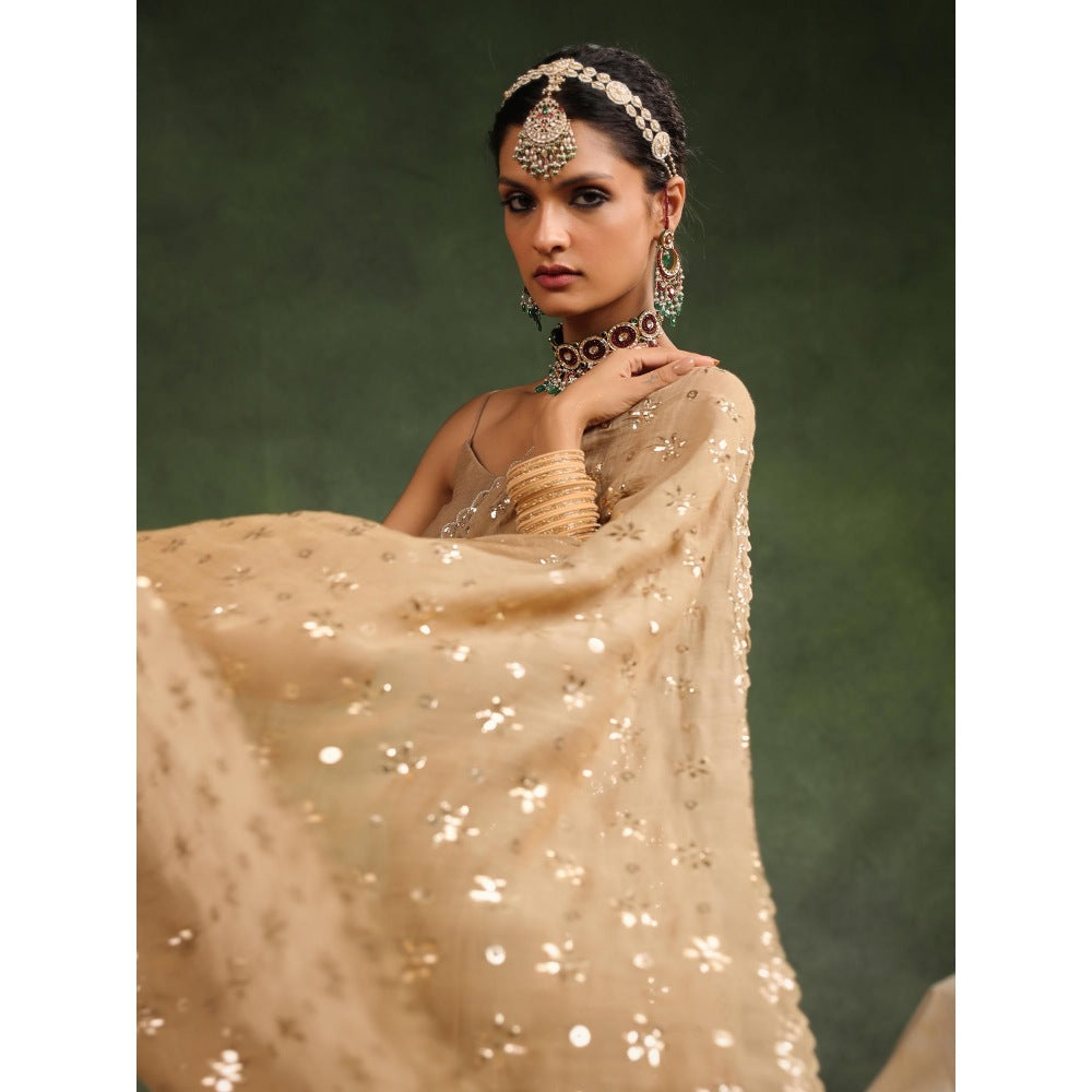 CHARU MAKKAR Beige Nutmeg Embellished Saree with Unstitched Blouse