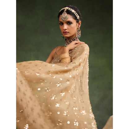 CHARU MAKKAR Beige Nutmeg Embellished Saree with Unstitched Blouse