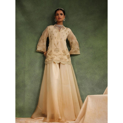 CHARU MAKKAR Beige Sharara with Kurta (Set of 2)