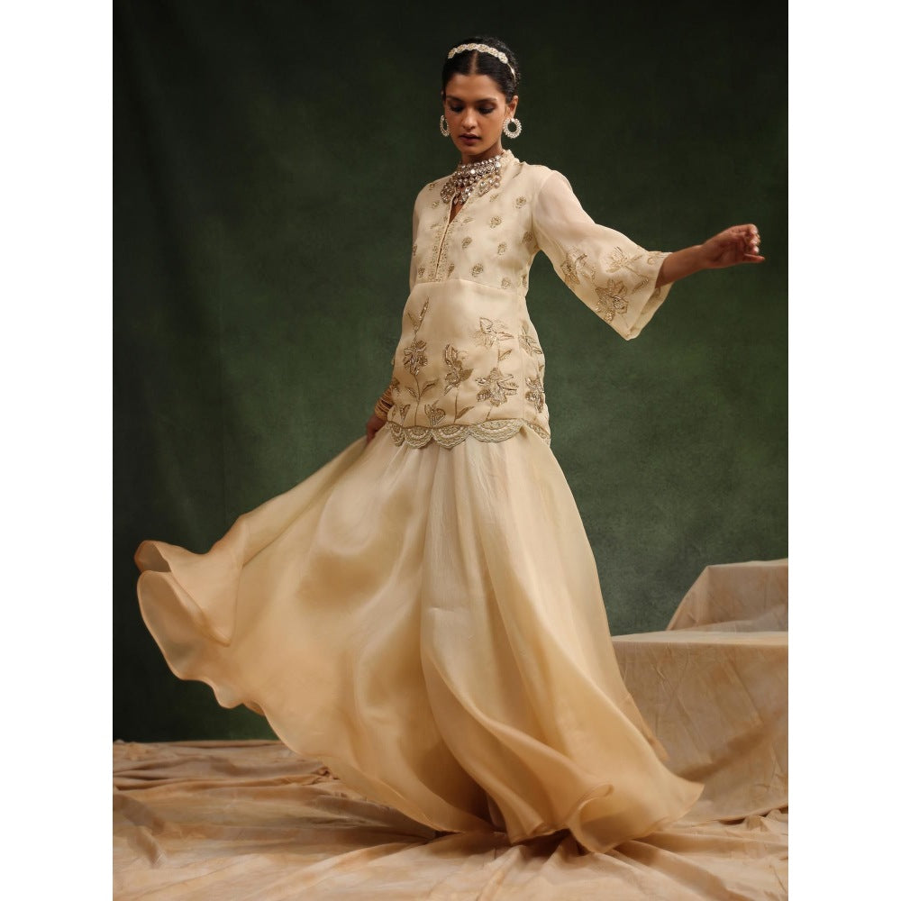 CHARU MAKKAR Beige Sharara with Kurta (Set of 2)