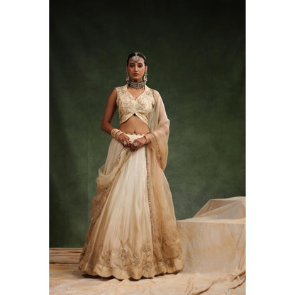 CHARU MAKKAR Beige Lehenga with Blouse and Dupatta (Set of 3)