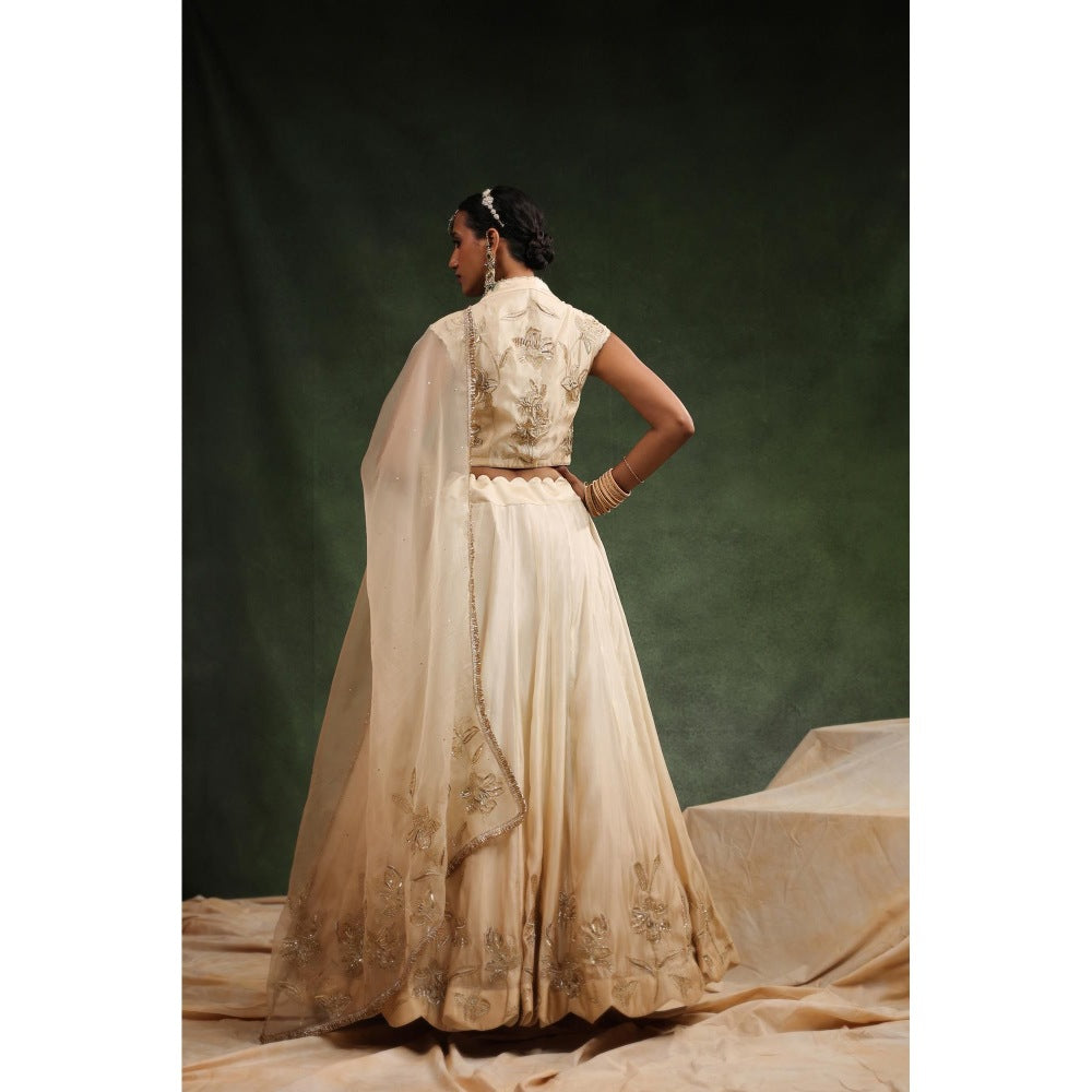 CHARU MAKKAR Beige Lehenga with Blouse and Dupatta (Set of 3)
