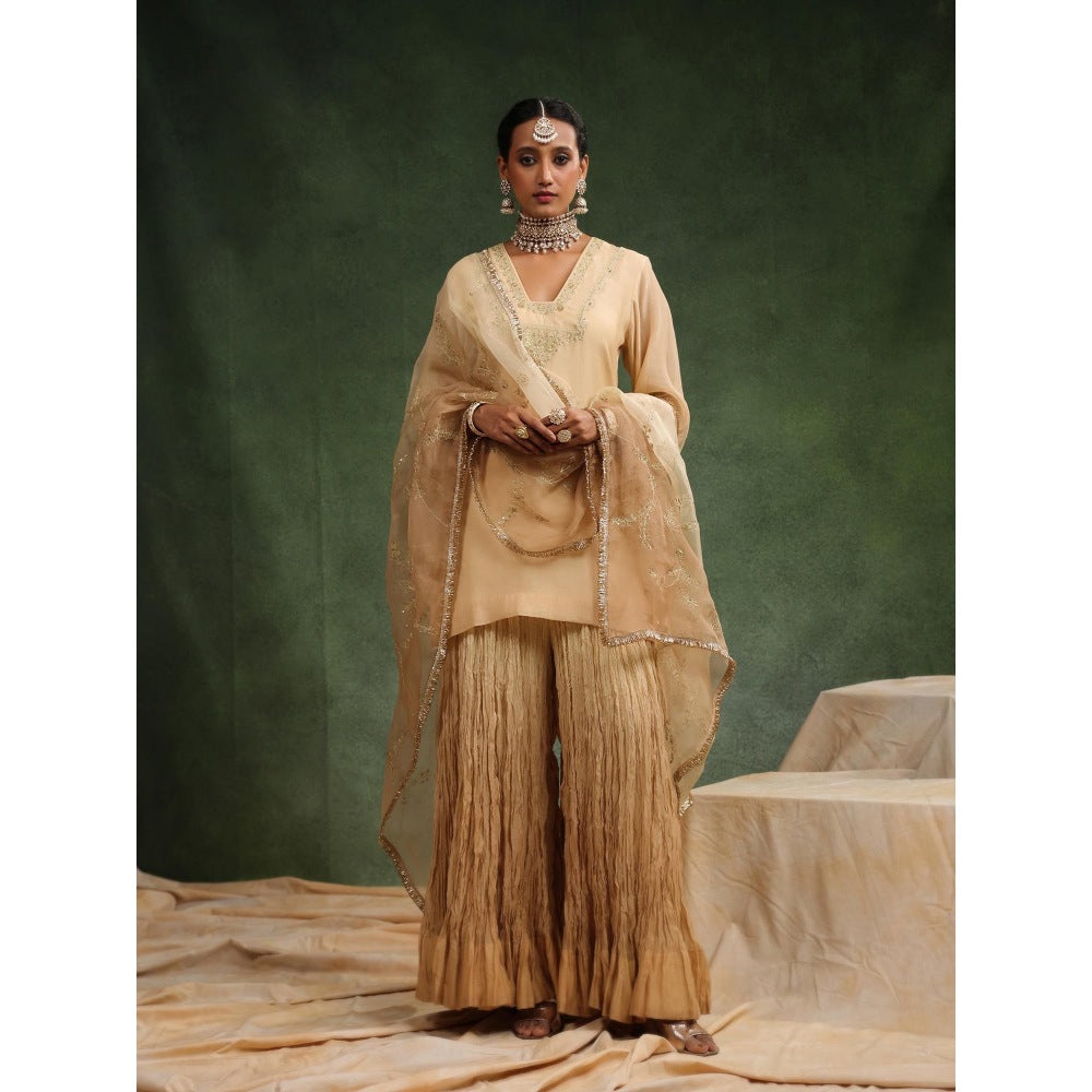 CHARU MAKKAR Nude Sharara with Kurta and Dupatta (Set of 3)