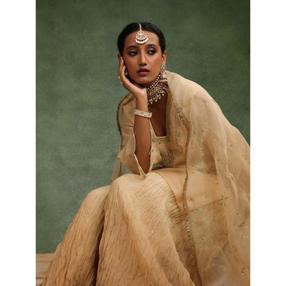 CHARU MAKKAR Nude Sharara with Kurta and Dupatta (Set of 3)