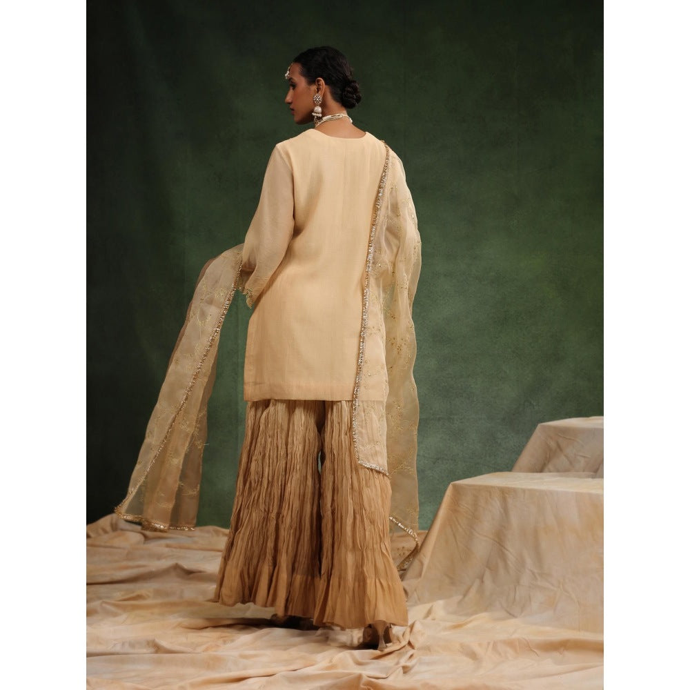 CHARU MAKKAR Nude Sharara with Kurta and Dupatta (Set of 3)