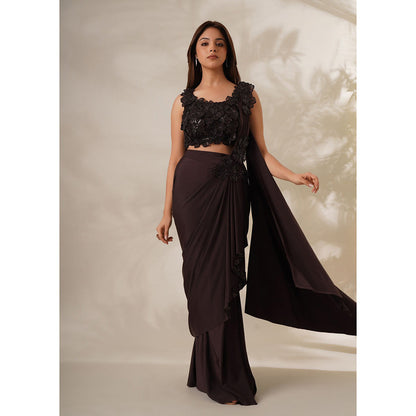 CHAASHNI BY MAANSI & KETAN Hazel Resham Embroidered Pre-Drape Saree with Stitched Blouse