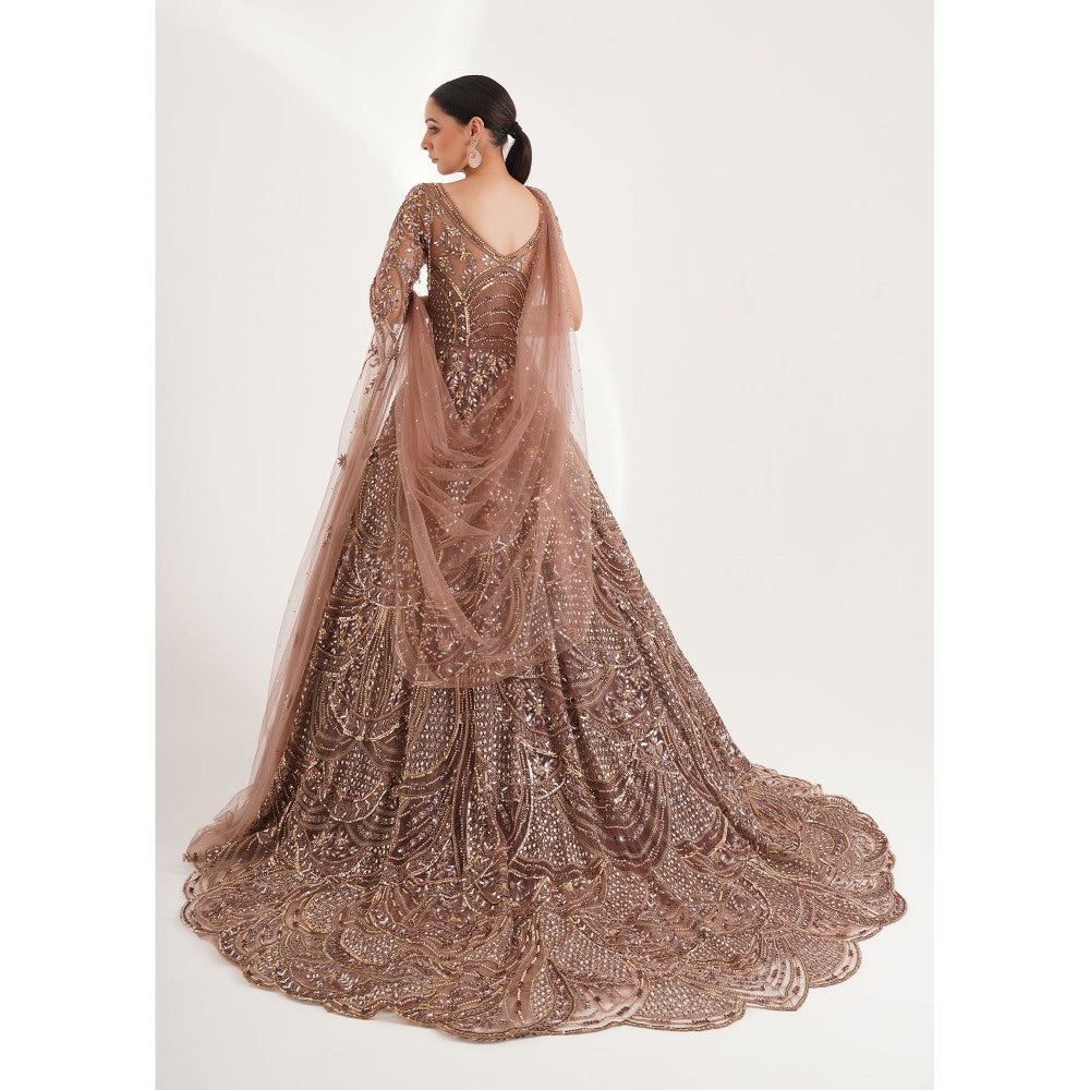 CHAASHNI BY MAANSI & KETAN Brown Embellished Net Gown with Drape (Set of 2)