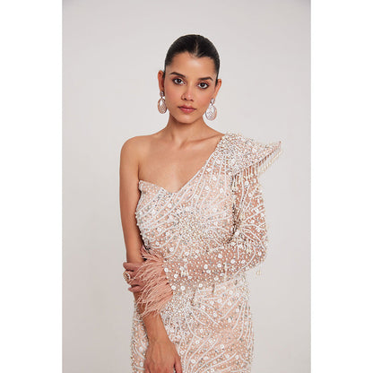 CHAASHNI BY MAANSI & KETAN Nude Glitter Net and Fur Gown