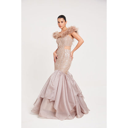 CHAASHNI BY MAANSI & KETAN Nude Textured Organza Gown