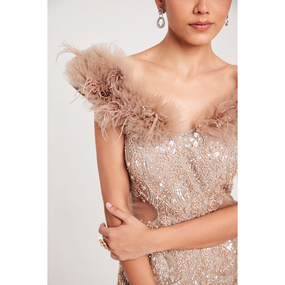 CHAASHNI BY MAANSI & KETAN Nude Textured Organza Gown