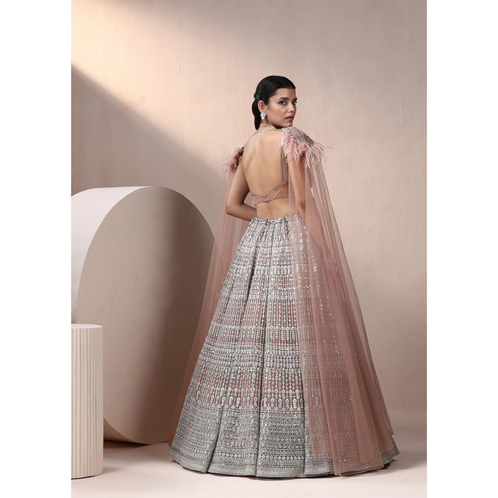 CHAASHNI BY MAANSI & KETAN Taupe Embroidered Lehenga with Blouse ad Cape (Set of 2)