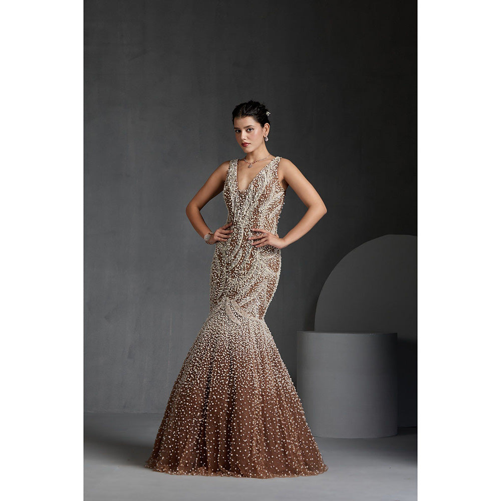 CHAASHNI BY MAANSI & KETAN Beige Embellished Net Gown with Dupatta (Set of 2)