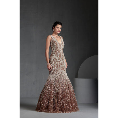 CHAASHNI BY MAANSI & KETAN Beige Embellished Net Gown with Dupatta (Set of 2)