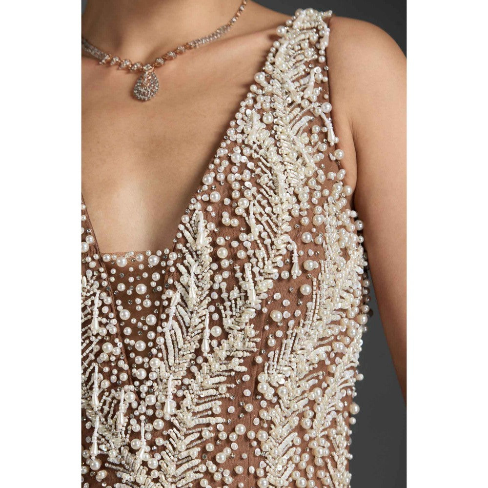 CHAASHNI BY MAANSI & KETAN Beige Embellished Net Gown with Dupatta (Set of 2)