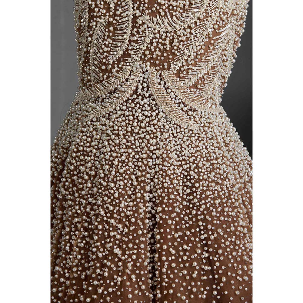 CHAASHNI BY MAANSI & KETAN Beige Embellished Net Gown with Dupatta (Set of 2)