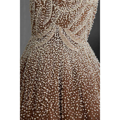 CHAASHNI BY MAANSI & KETAN Beige Embellished Net Gown with Dupatta (Set of 2)