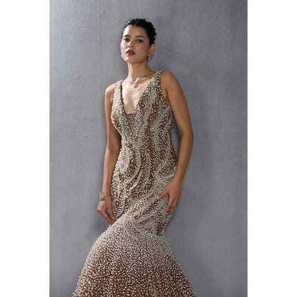 CHAASHNI BY MAANSI & KETAN Beige Embellished Net Gown with Dupatta (Set of 2)