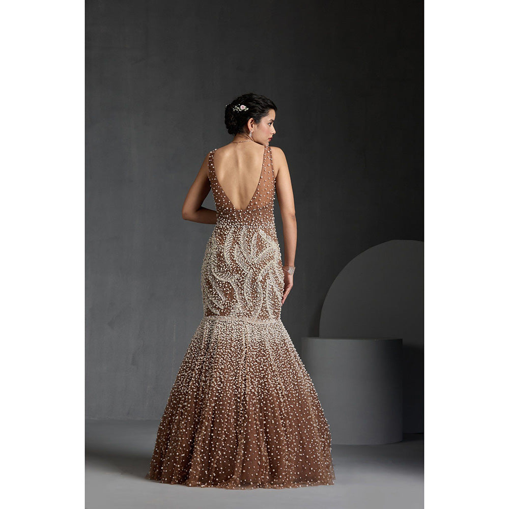 CHAASHNI BY MAANSI & KETAN Beige Embellished Net Gown with Dupatta (Set of 2)