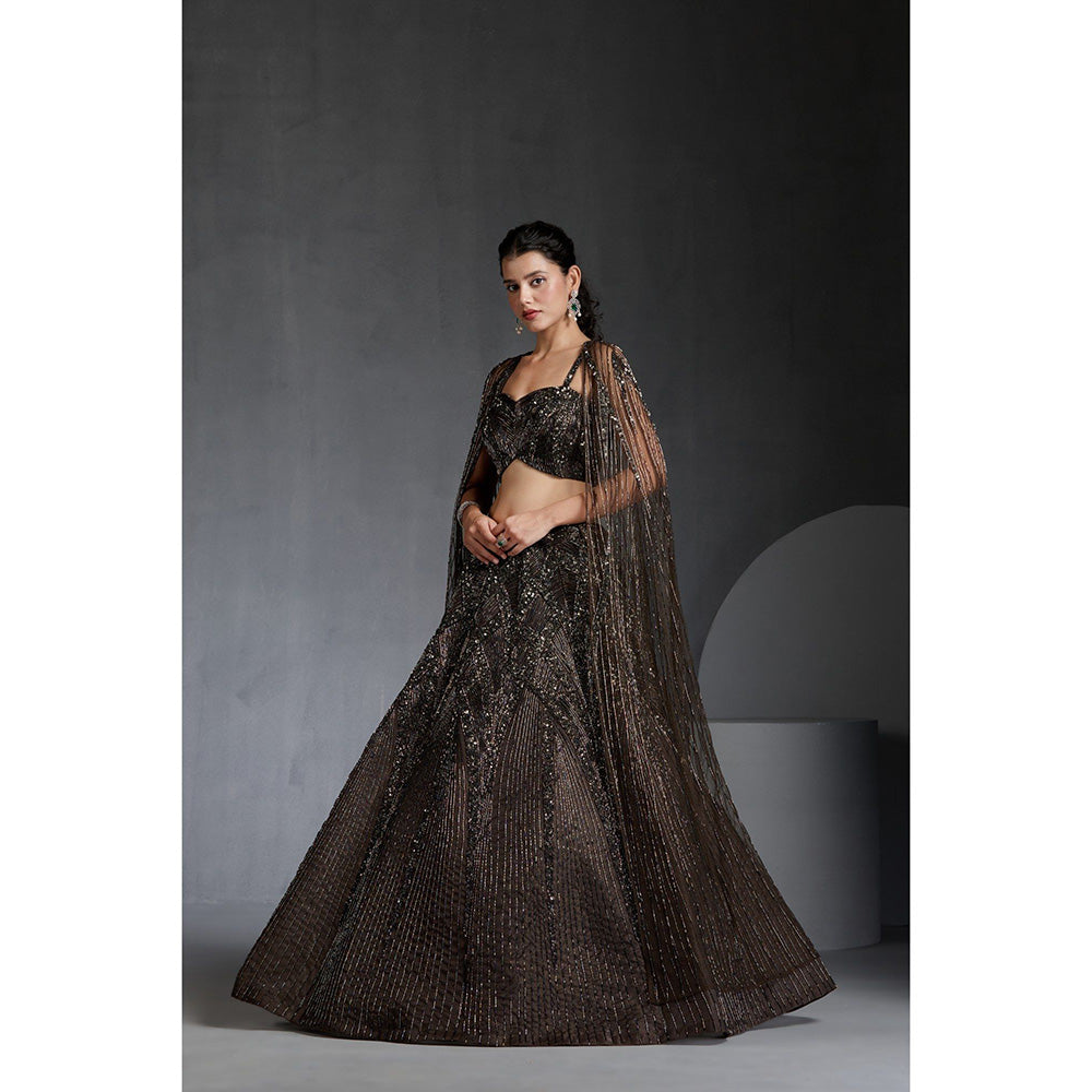 CHAASHNI BY MAANSI & KETAN Green Organza Embellished Lehenga with Choli and Cape (Set of 3)