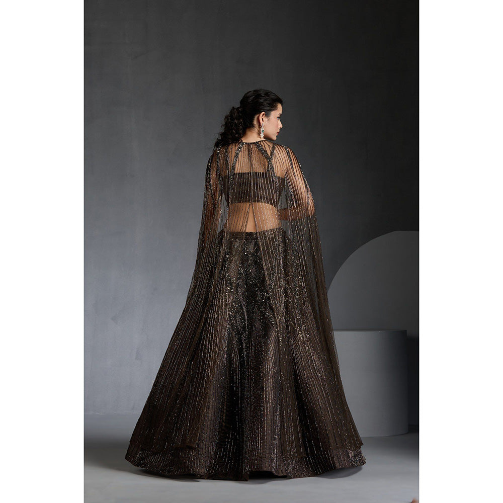 CHAASHNI BY MAANSI & KETAN Green Organza Embellished Lehenga with Choli and Cape (Set of 3)