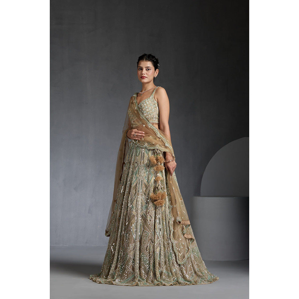 CHAASHNI BY MAANSI & KETAN Multi-Colour Embellished Lehenga with Choli and Dupatta (Set of 3)