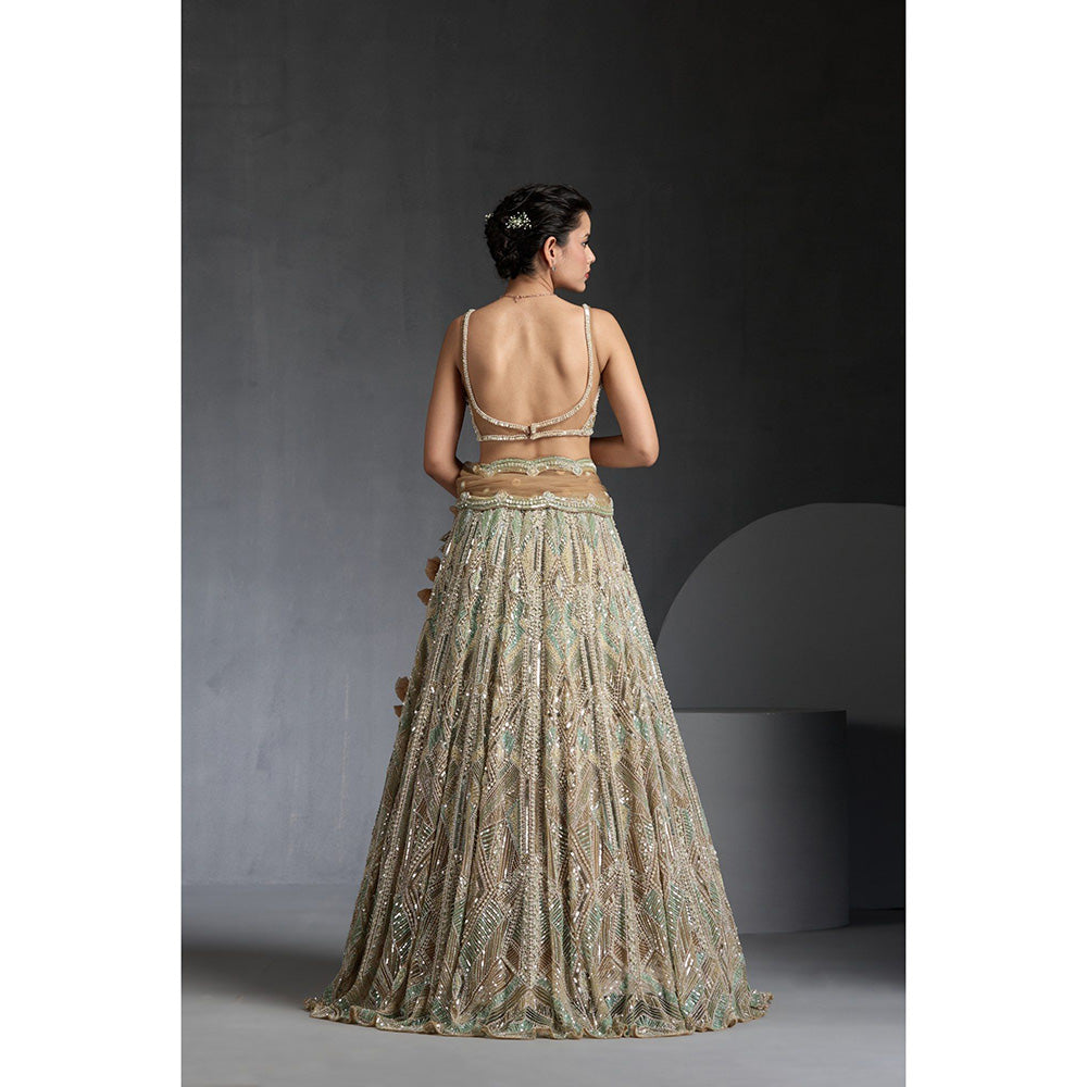 CHAASHNI BY MAANSI & KETAN Multi-Colour Embellished Lehenga with Choli and Dupatta (Set of 3)