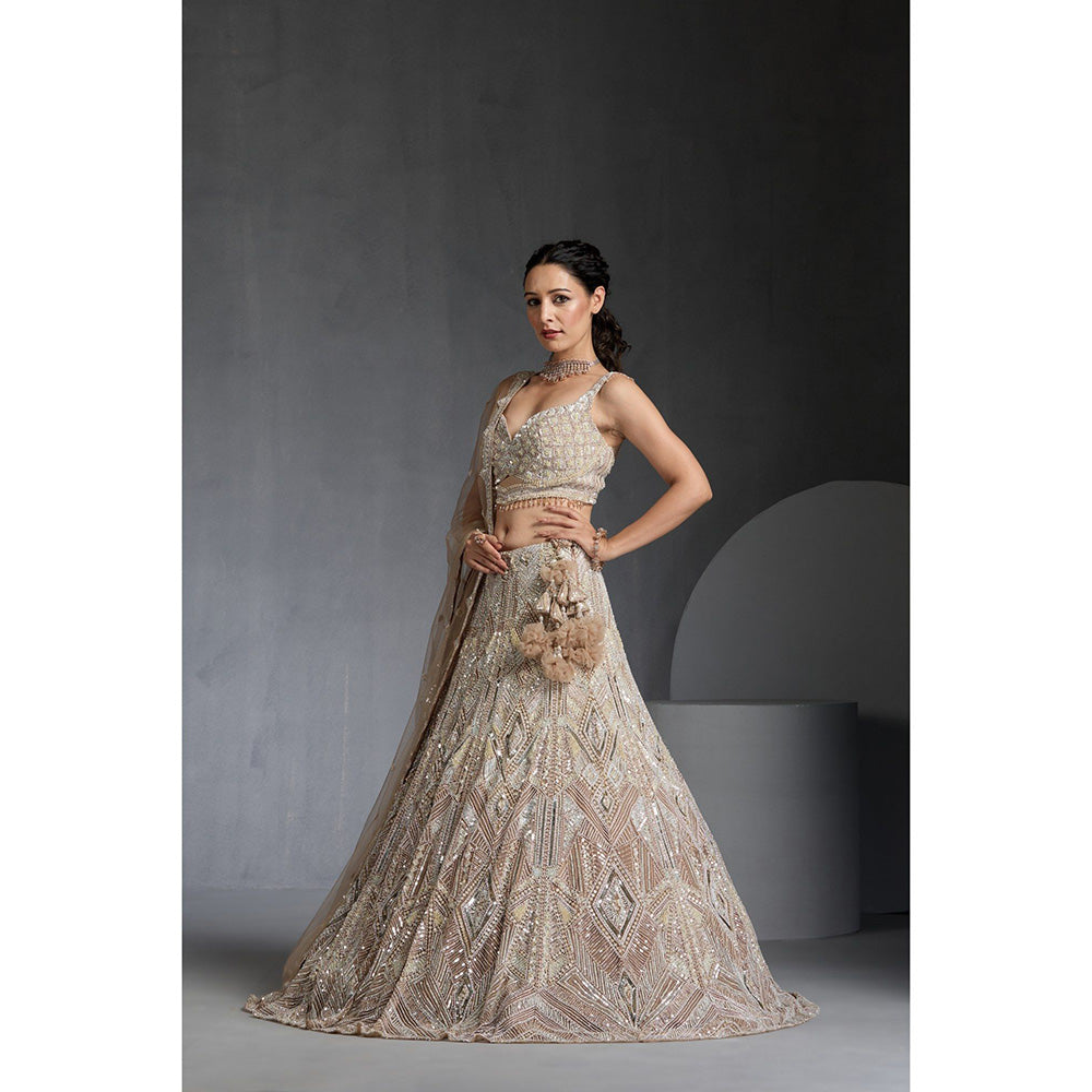 CHAASHNI BY MAANSI & KETAN Nude Embellished Net Lehenga with Choli and Dupatta (Set of 3)