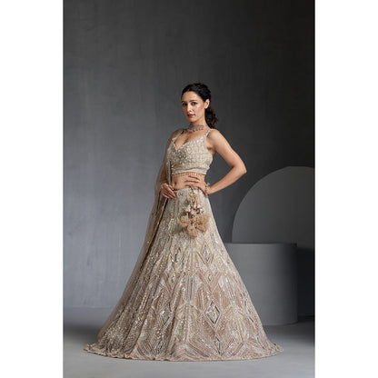CHAASHNI BY MAANSI & KETAN Nude Embellished Net Lehenga with Choli and Dupatta (Set of 3)