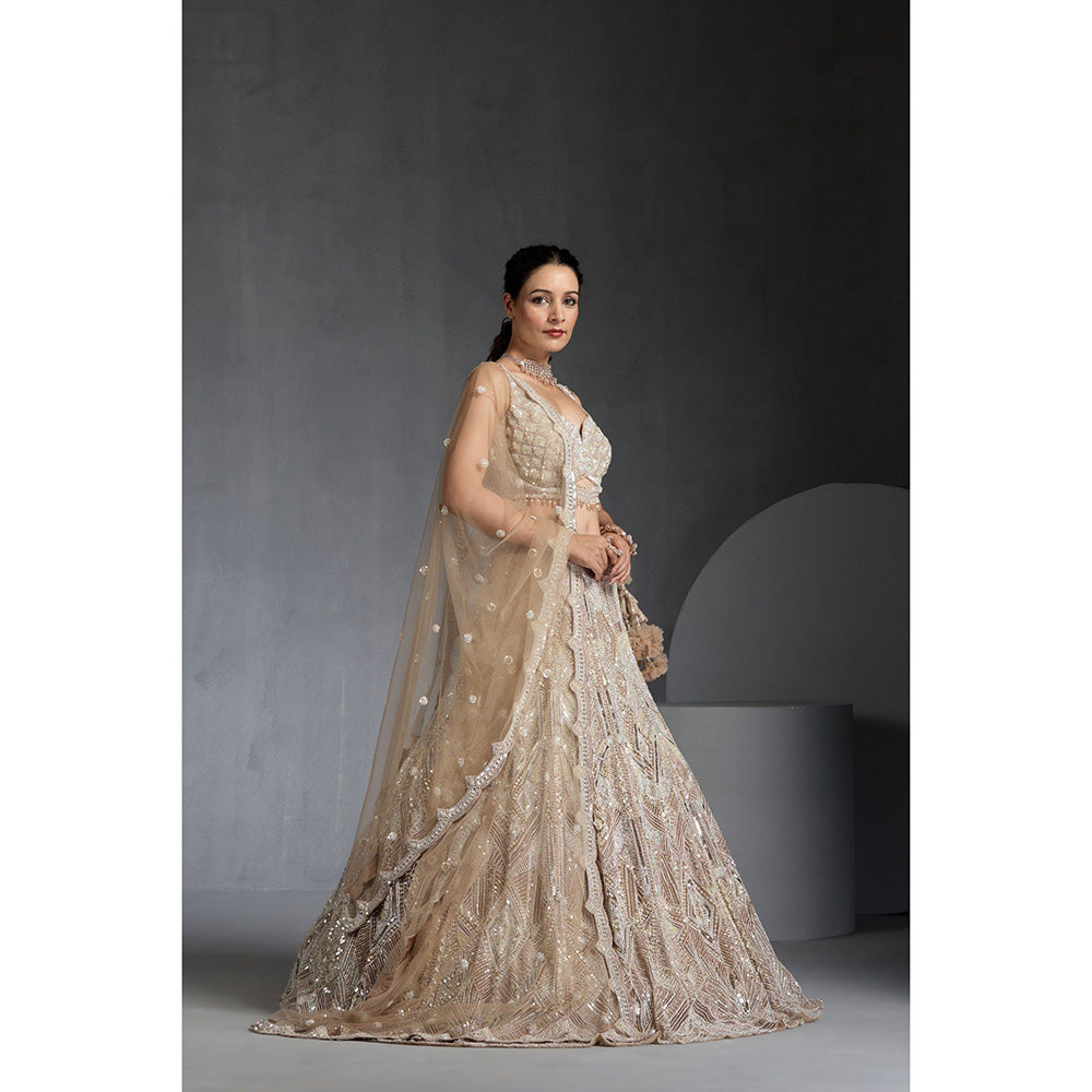 CHAASHNI BY MAANSI & KETAN Nude Embellished Net Lehenga with Choli and Dupatta (Set of 3)