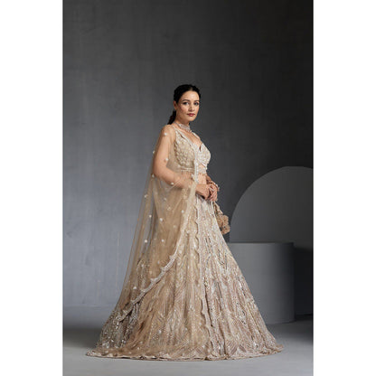 CHAASHNI BY MAANSI & KETAN Nude Embellished Net Lehenga with Choli and Dupatta (Set of 3)