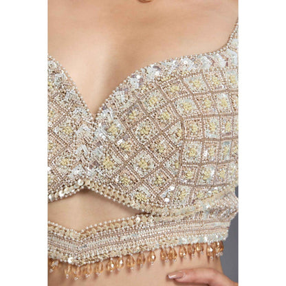 CHAASHNI BY MAANSI & KETAN Nude Embellished Net Lehenga with Choli and Dupatta (Set of 3)