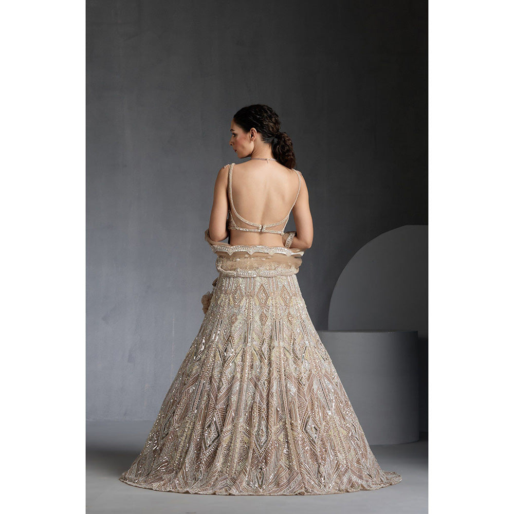 CHAASHNI BY MAANSI & KETAN Nude Embellished Net Lehenga with Choli and Dupatta (Set of 3)