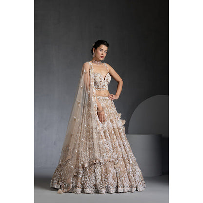 CHAASHNI BY MAANSI & KETAN Nude Embellished Net Lehenga with Choli and Dupatta (Set of 3)
