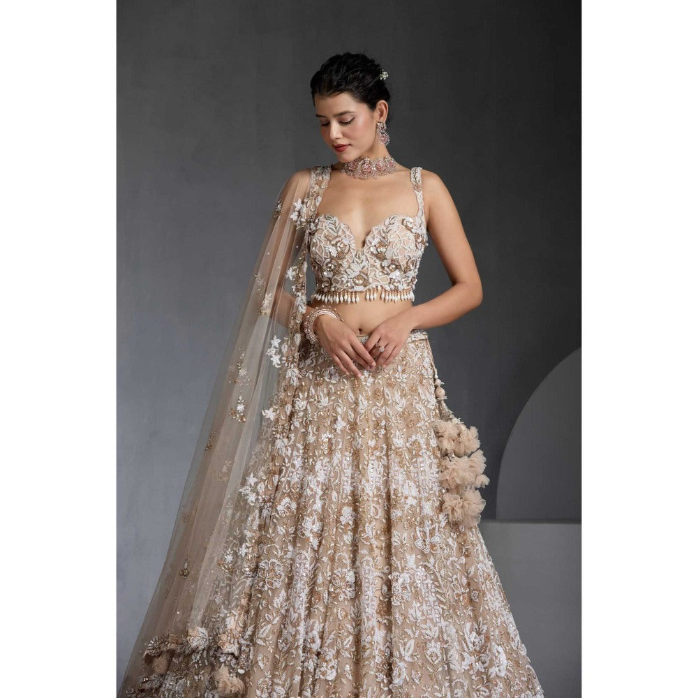 CHAASHNI BY MAANSI & KETAN Nude Embellished Net Lehenga with Choli and Dupatta (Set of 3)